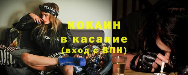 тгк Аркадак