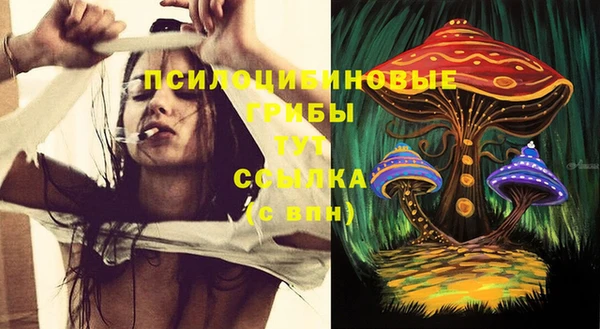прущие крисы Арсеньев