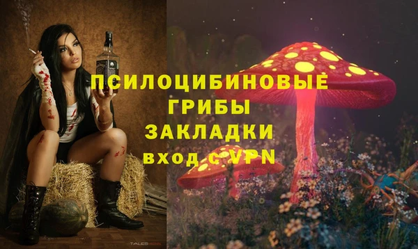 прущие крисы Арсеньев