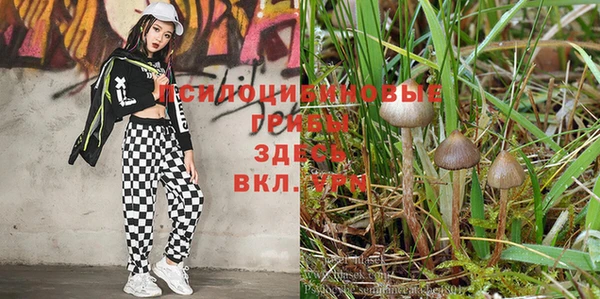 прущие крисы Арсеньев