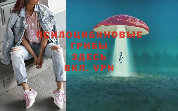 СК Армянск