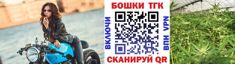 Бошки Шишки планчик Оса